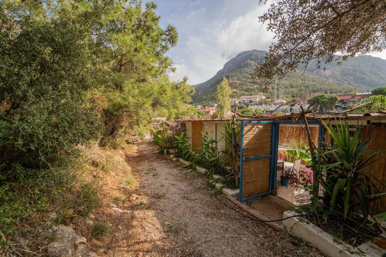 Begonvilla Bungalows Fethiye Exteriér fotografie
