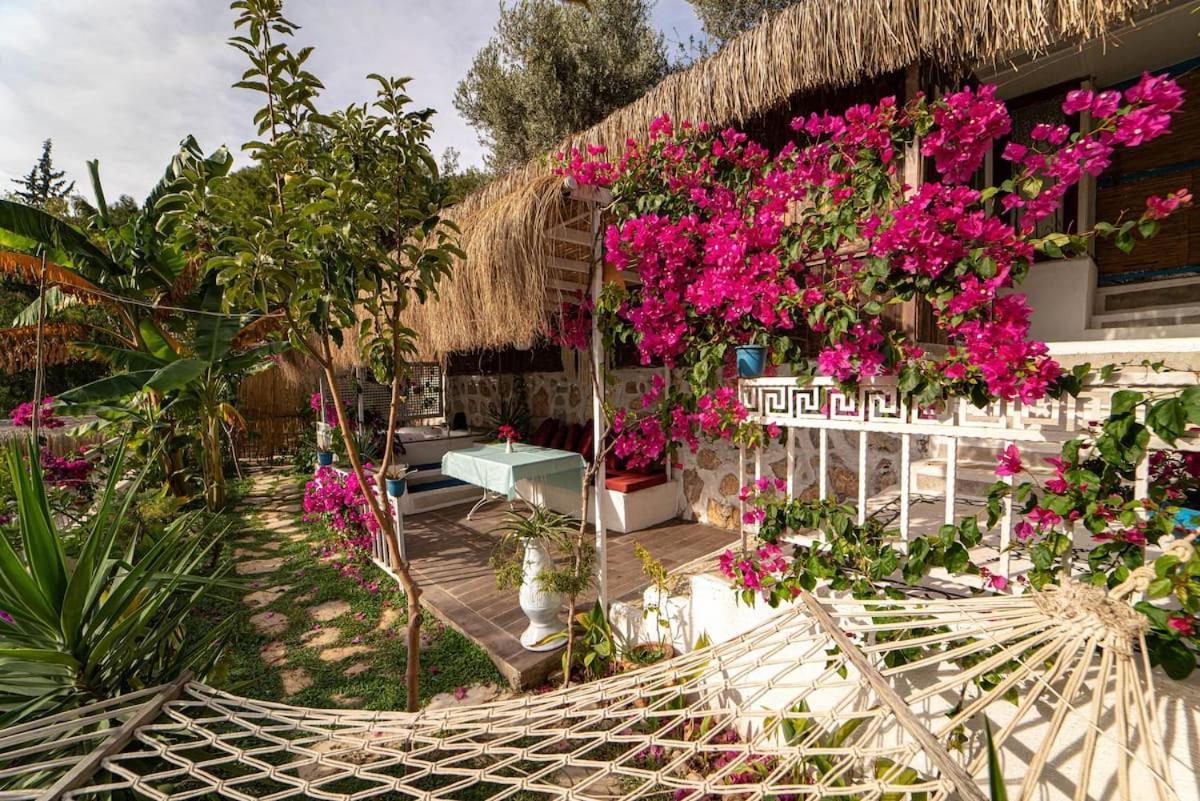 Begonvilla Bungalows Fethiye Exteriér fotografie