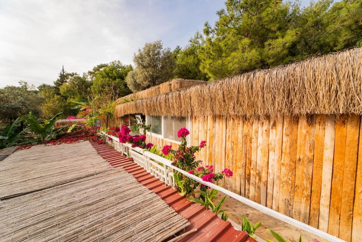Begonvilla Bungalows Fethiye Exteriér fotografie